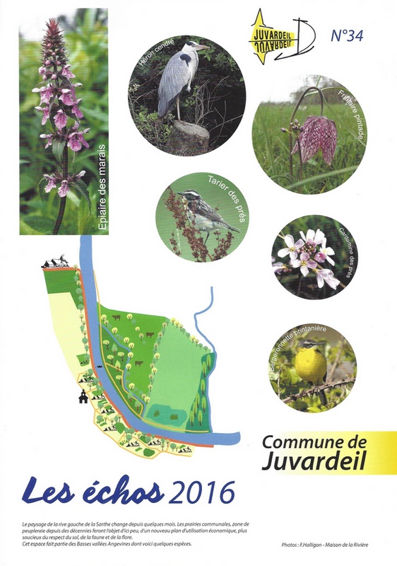 N° 34 Les Echos 2016.PDF